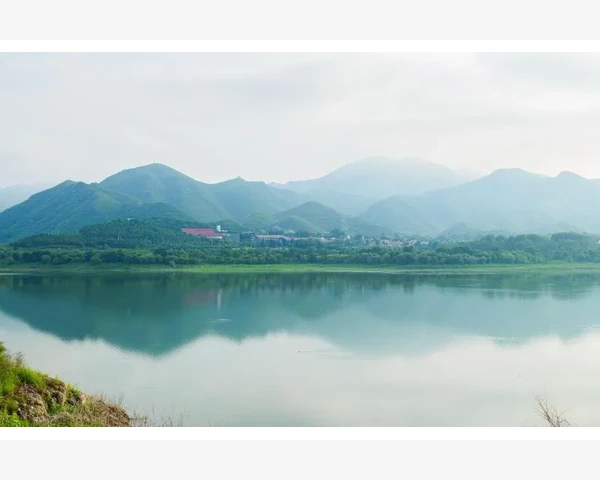 中医科普：爱生气？吃什么药调理最有效？